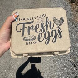 Fresh Eggs!!! On Sale $8.00 One Dozen