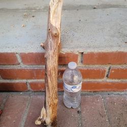 Driftwood
