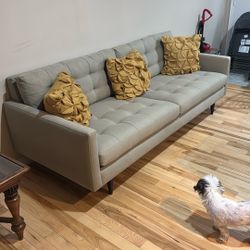 Crate & Barrel Petrie Sofa