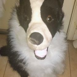 Melissa and doug border collie cheap