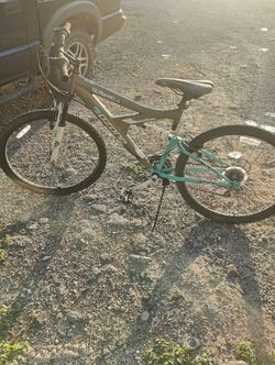 Mountain bike