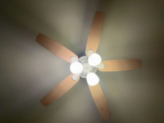 $50 maple ceiling fan with remote