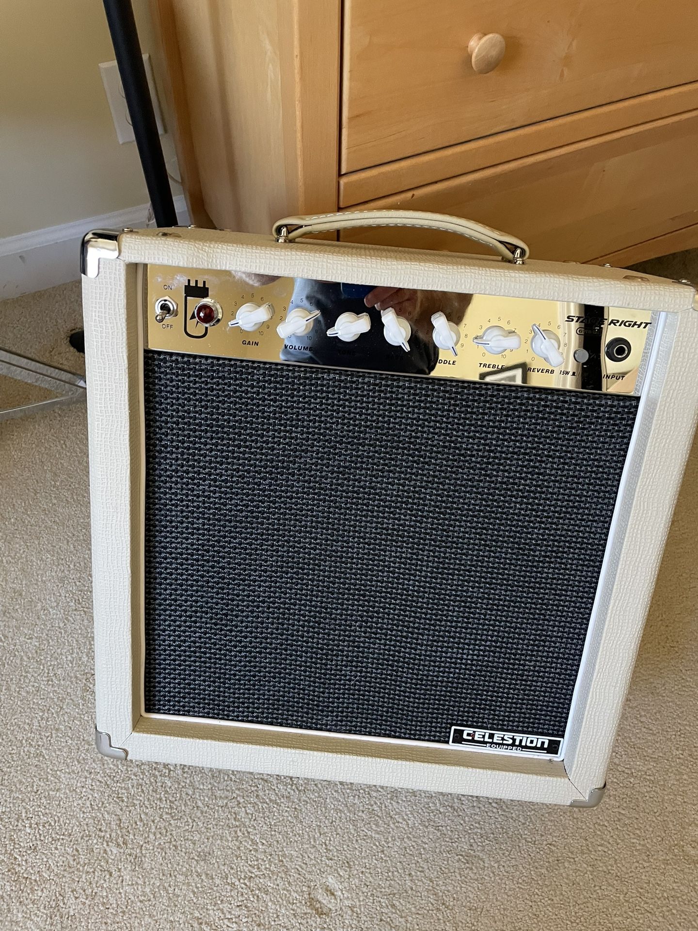 Stage Right 15 watt combo tube amp (March 2023)