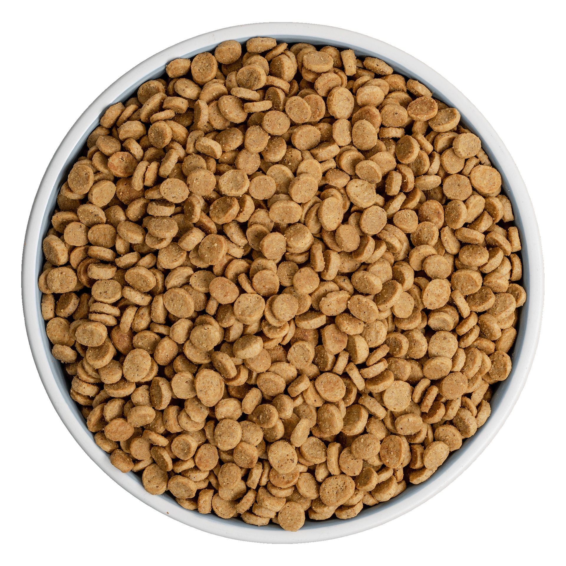 Dog Food