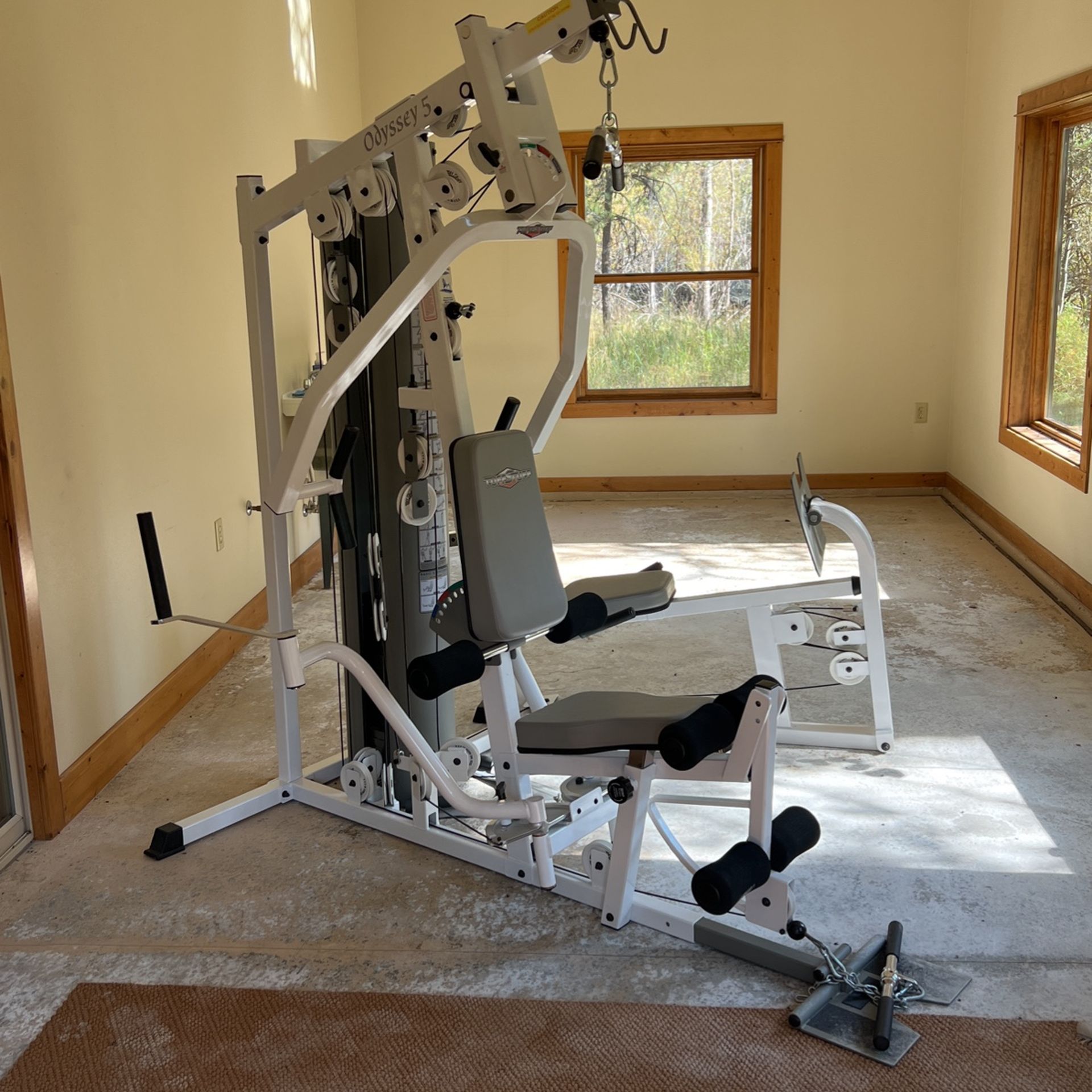 Odyssey 5 Home Gym
