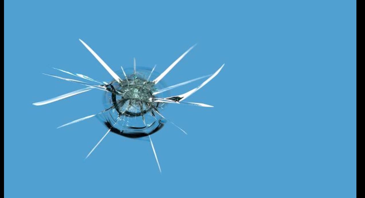 Windshield Repair