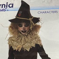 scarecrow costume size 12-14 junior girl