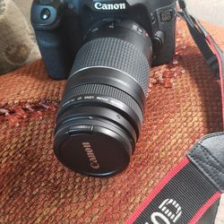 Canon EOS 50D SLR
