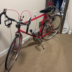 Bicycle 