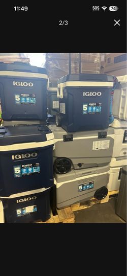 Igloo cooler from Costco. Liquidation