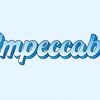 IMPECCABLE AUTO INC