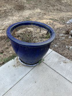 Plan Pot Blue