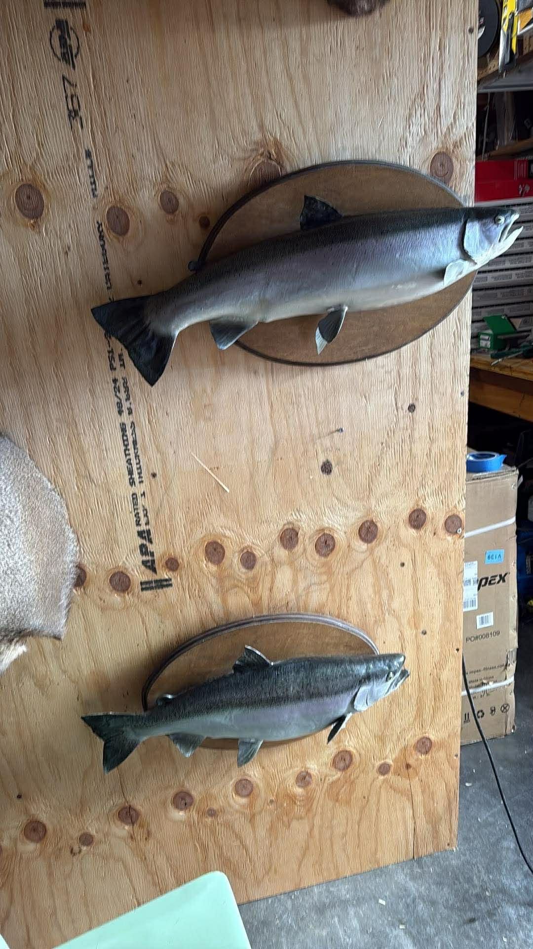 Fish decor