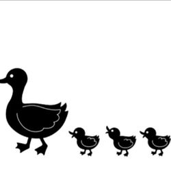 Darice Embossing Folder ~ Ducks