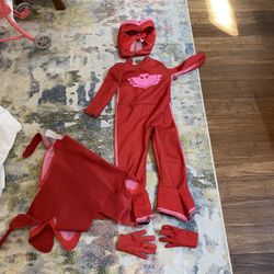Pj Masks Owlette 2t Costume