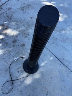 Fan