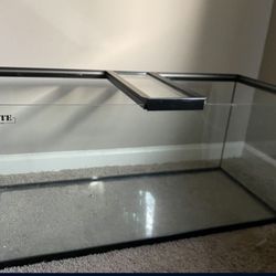 40 Gallon Tank 