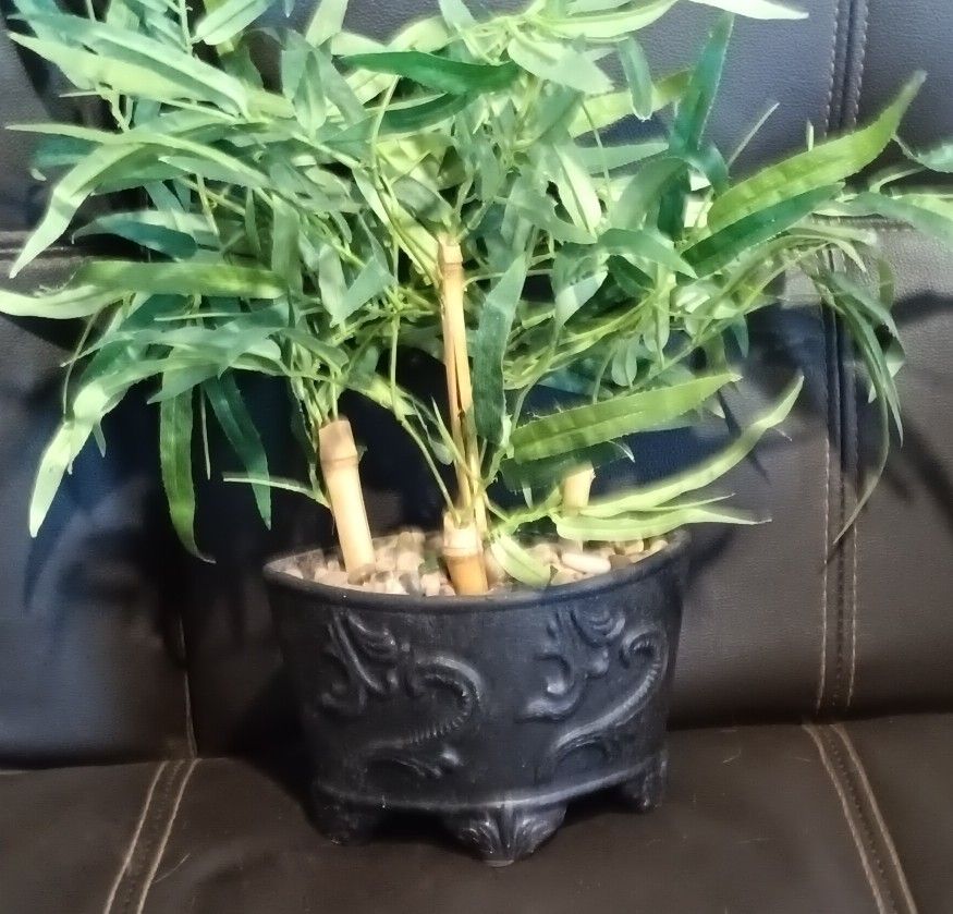 Plastic Potted Plant With Green Leaves Acorned In Decoritive Stones