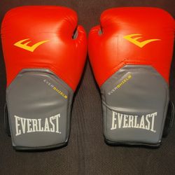 Everlast 14 Ounce Pro Style Elite Training Gloves