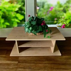 Beautiful Easy Wheels π Coffee Table Or TV Stand w/Storage & Extra Side Shelving