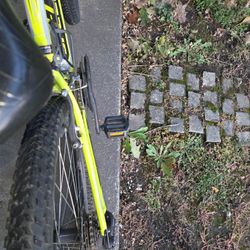 Mountain Bike Specialist 