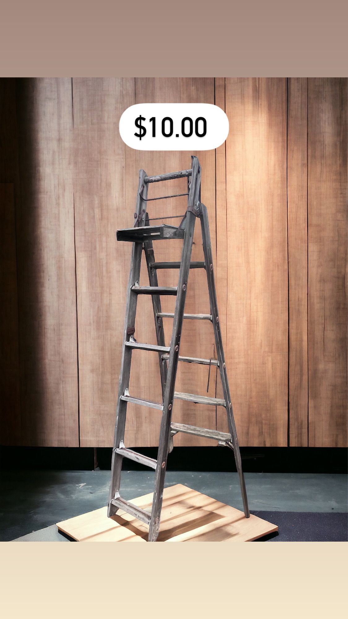 Rustic Ladder 