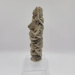 Desert Rose 