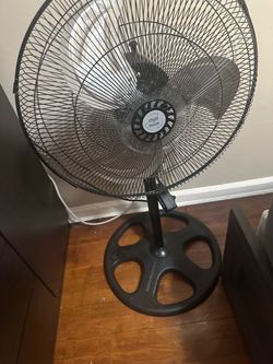 Chill Point Black Standing Pedestal Fan