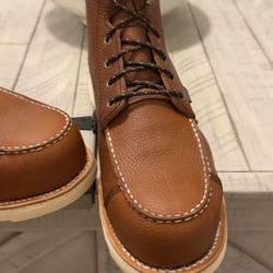 Redwings Irish Setters 