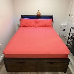 New LED twin bed frame + Mattress 
