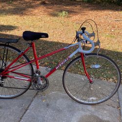 Vintage Nishiki Sports Series Bike
