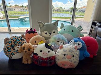 Squishmallow Bundle
