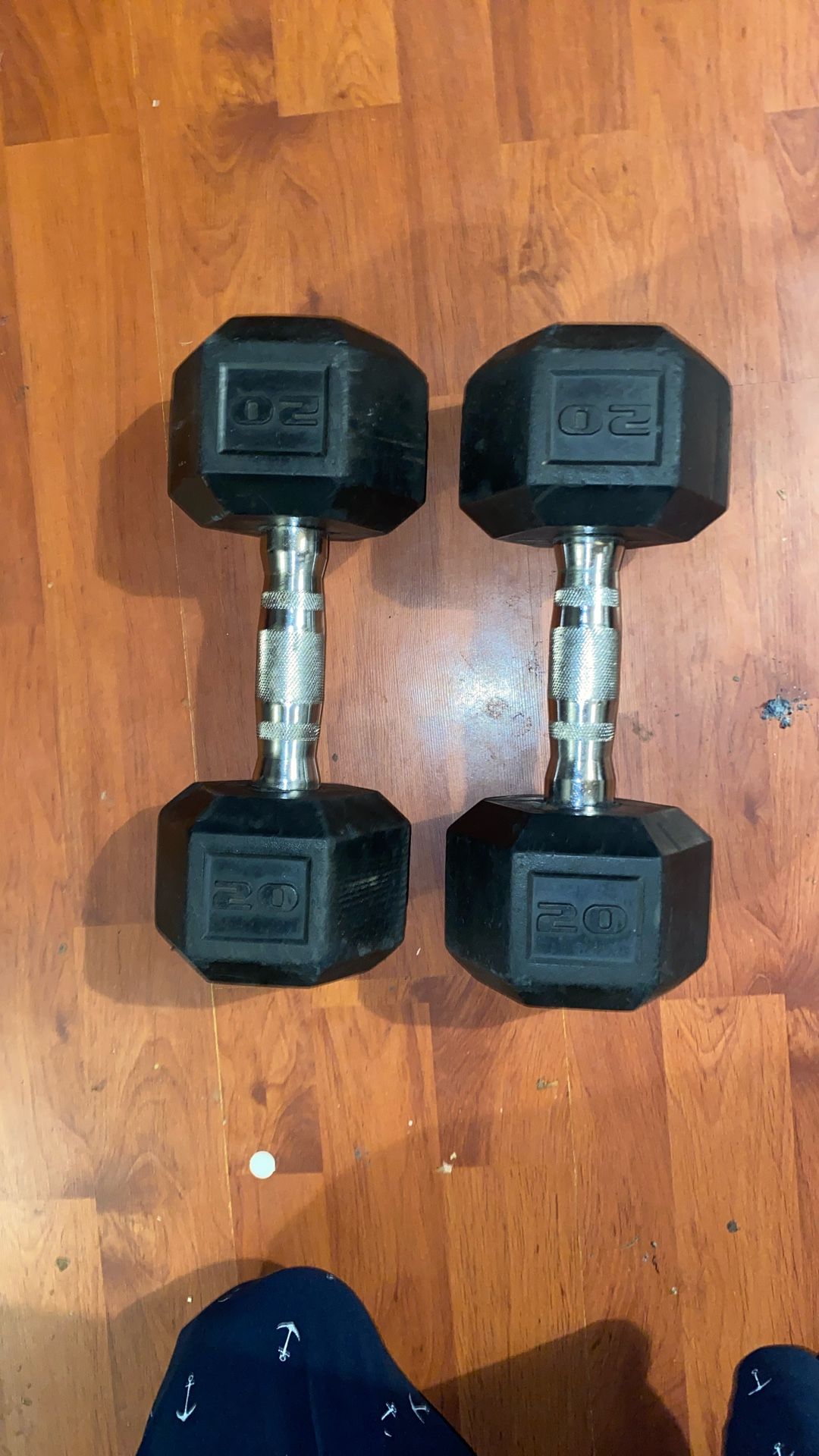 20 Lbs Dumbbells