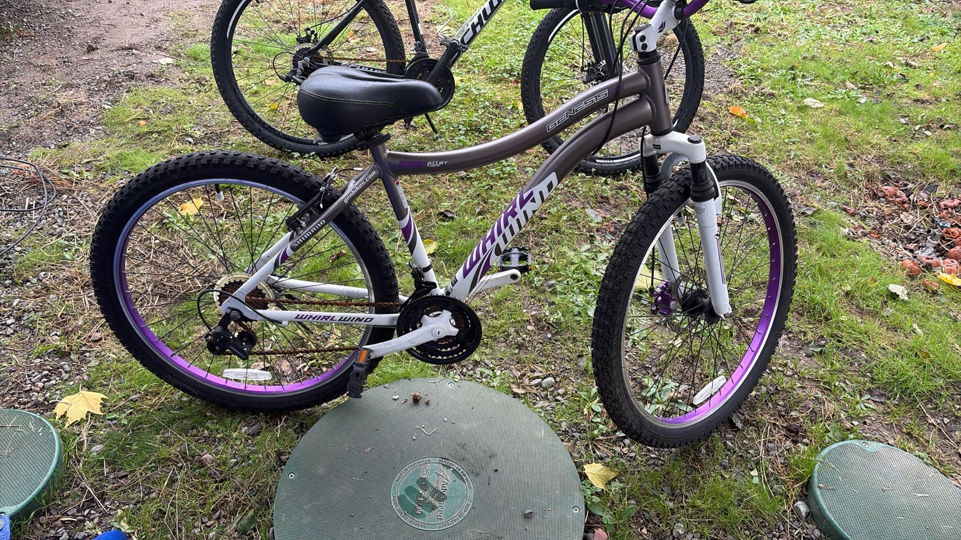 Whirl Wind Genesis Mt Bike