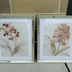 Set Of 2 Floral Framed Art
