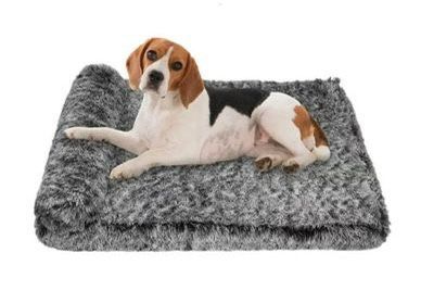 Orthopedic Dog Bed for Medium Dogs Durable Medium Sized Dog Bed Pet Cushion ⭐NEW⭐