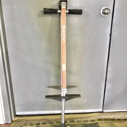Razor BoGo Pogo Stick