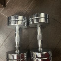 Weights 20lbs 