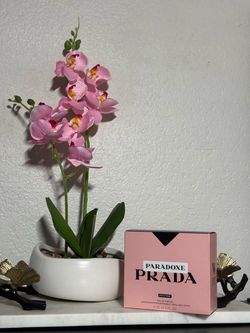 Prada Paradoxe Intense EDP 90ml