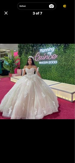 Quinceanera dress