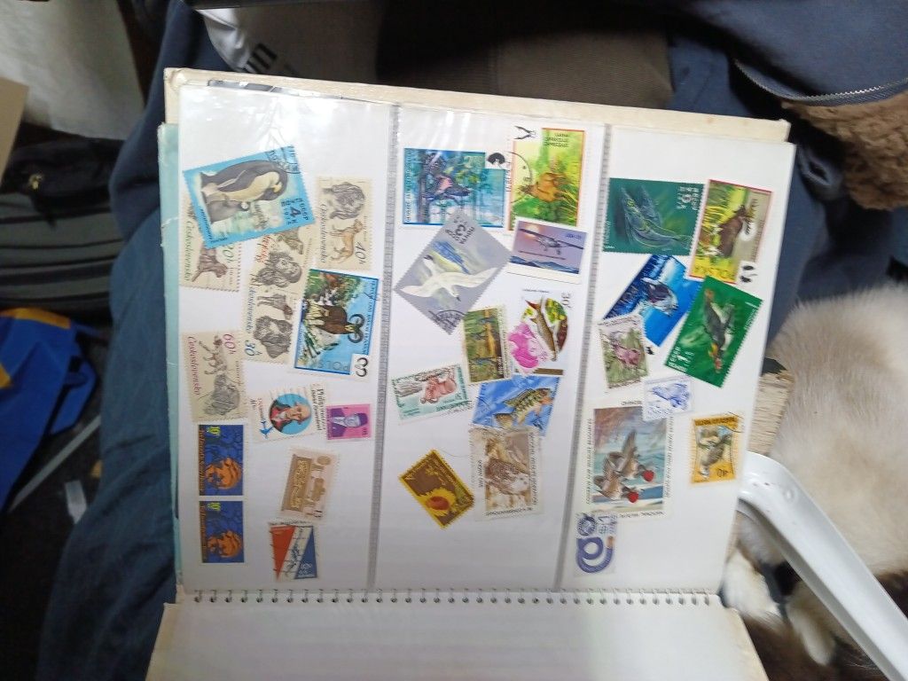 Stamps Bunch Of Them