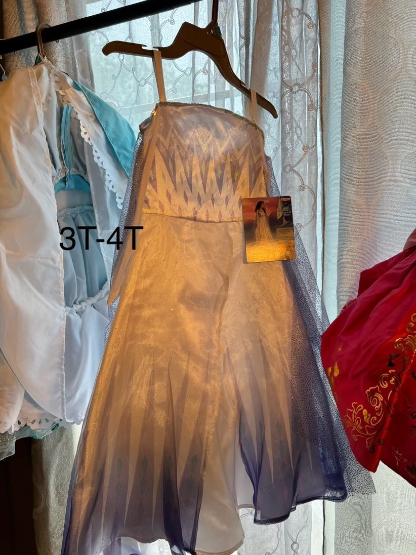 Girls Princess Dresses