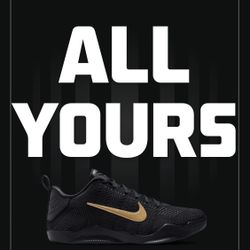 Kobe 11 Protro Fade To Black