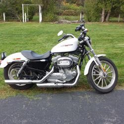 2007 Harley Davidson Sportster Low