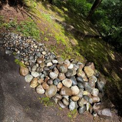 River / Landscape Rocks! 