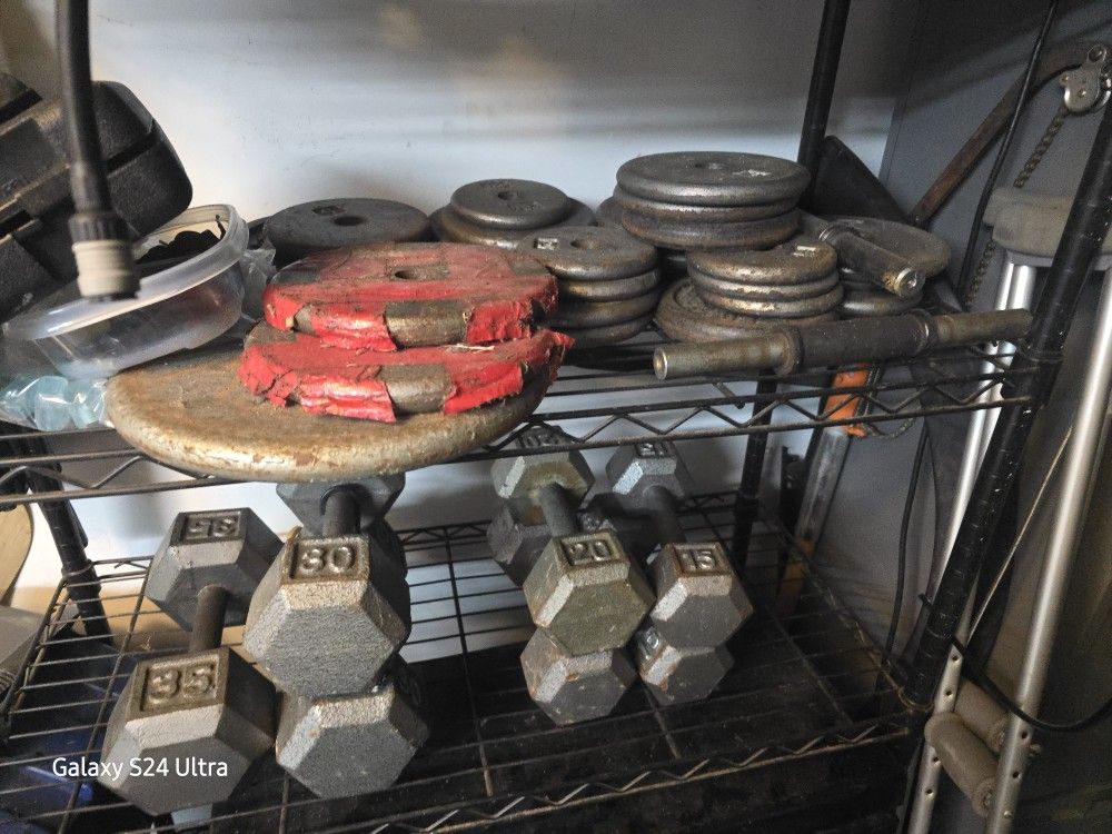 Assorted Free Weight Collection