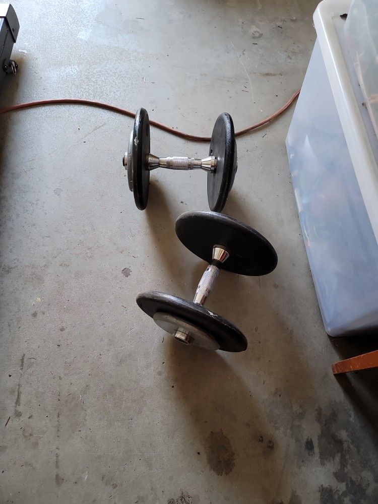 25 Pound Dumbbells