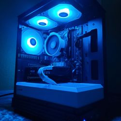 Panda 🐼 Gaming PC 🐼 Custom Built