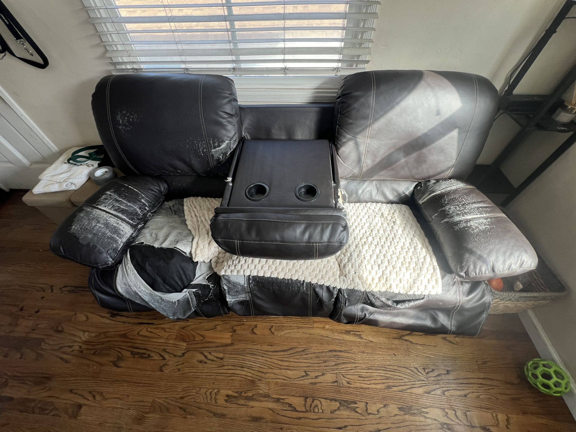Free Couch to a Good Home!