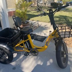 E Bike Trike